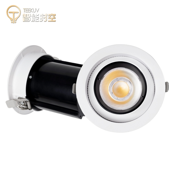 10w Recessed Adjustable Light