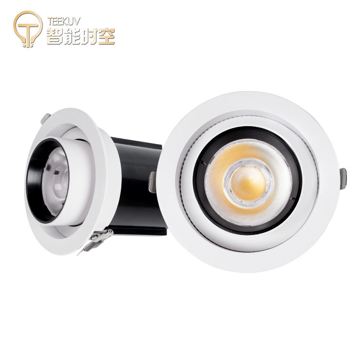 10w Recessed Adjustable Light