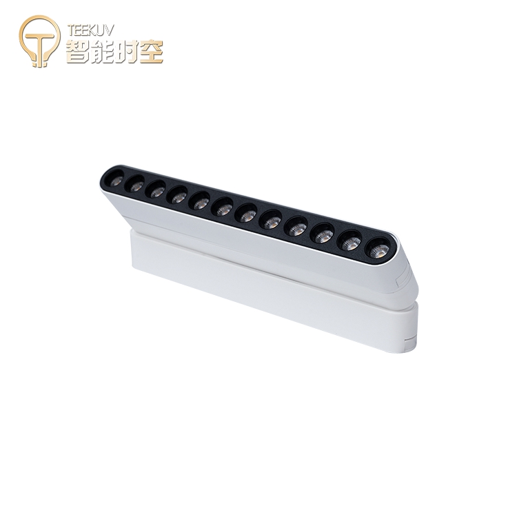 Smart Track Magnetic Flood Light