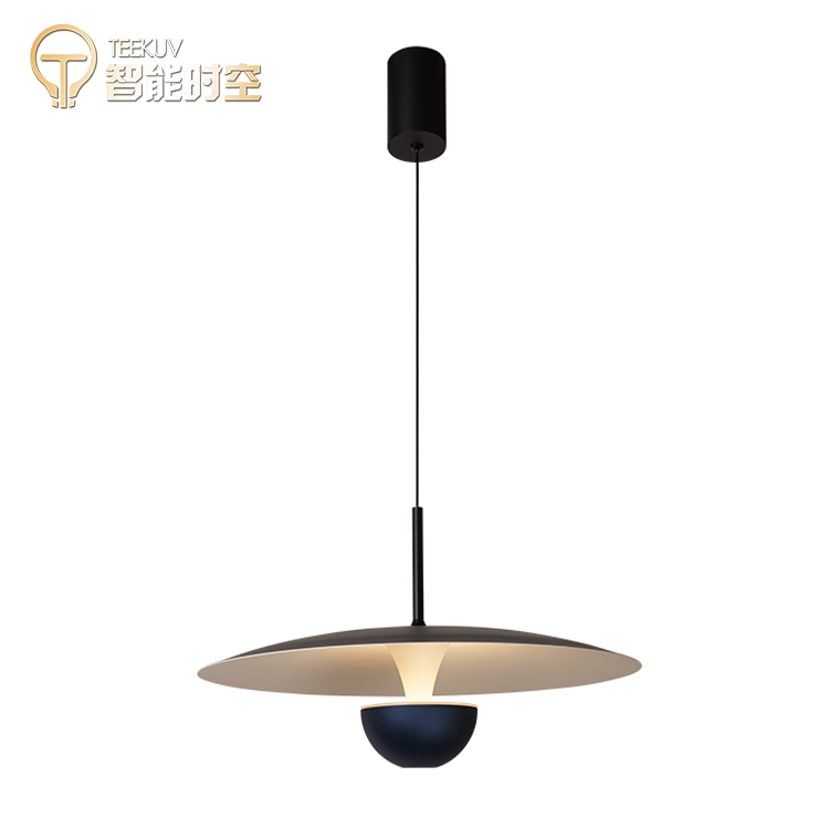 Modern Hanging Led Pendant Lights