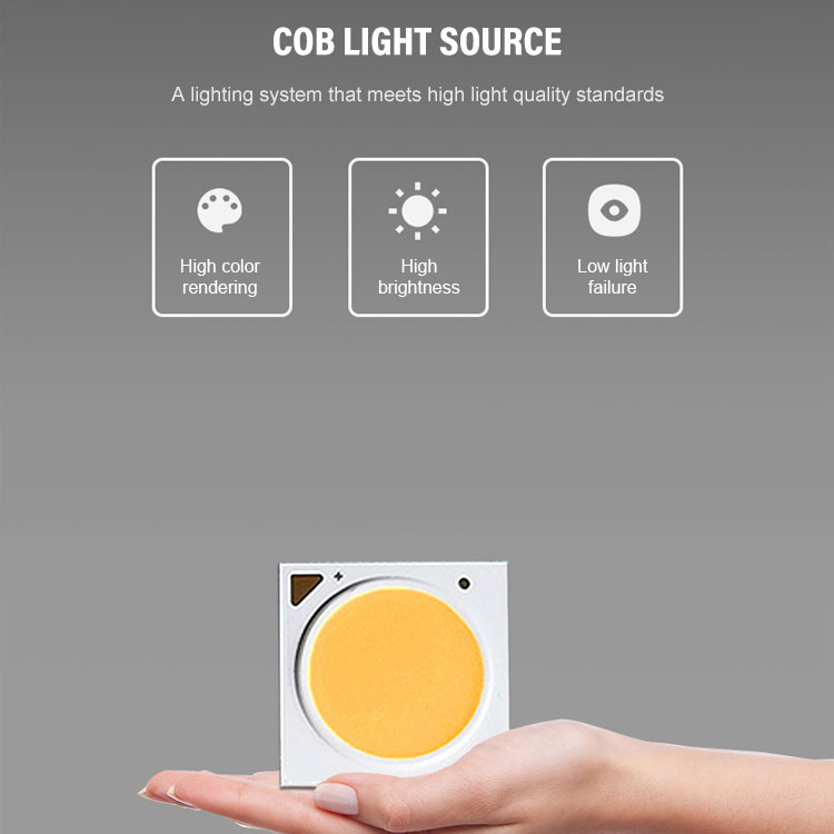 Aluminum Recessed Cob Led Downlight