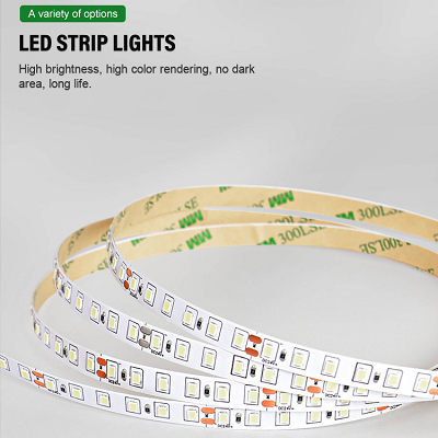  Neon Led Strip Light