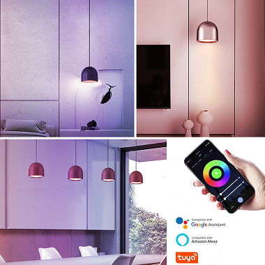 Decoration Lighting LED Pendant Light