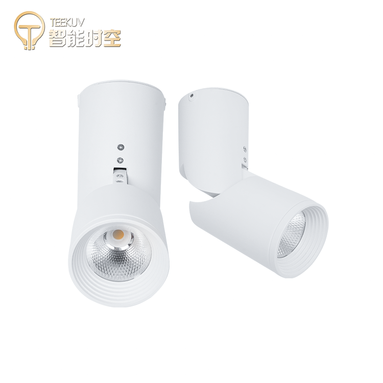 Surface Mounted LED Downlight Fixture 